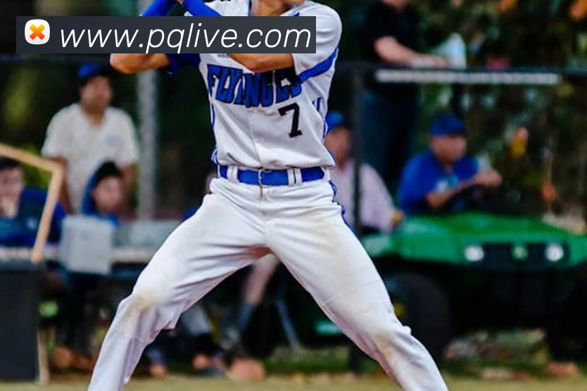 开云在线登录入口官网发展历程